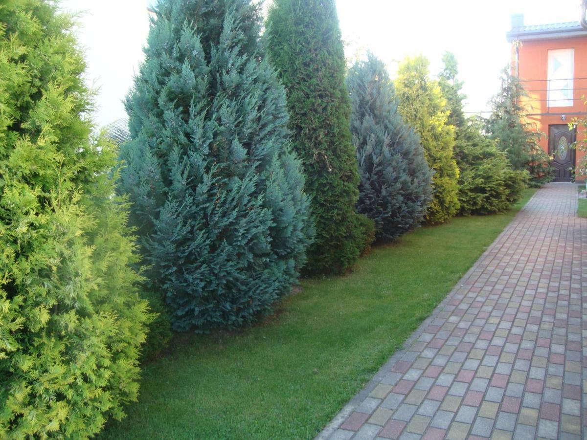 Zelta Pirts Guest House Ventspils Exterior foto